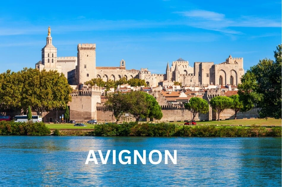 palais-des-papes-and-rhone-river-in-avignon-france